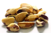 Brazylijskie