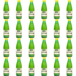 24 x Sok z Cytryn Bio 250 ml - Eureko - 2 zgrzewki