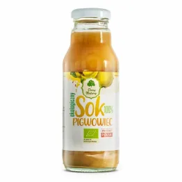Sok z Pigwowca Eko 270 ml - Dary Natury
