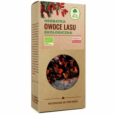 Owoce Lasu Herbatka Ekologiczna 100 g - Dary Natury