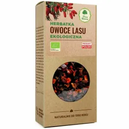 Owoce Lasu Herbatka Ekologiczna 100 g - Dary Natury