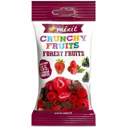 Chrupiąca Mieszanka Leśna do Kieszeni (Owoce Liofilizowane) 20 g - Mixit