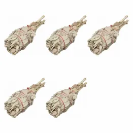 5 x Biała Szałwia Pęczek 15-20 g  Salvia Apiana