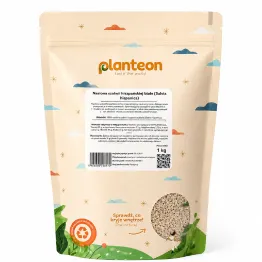Nasiona Szałwii Hiszpańskiej Białe (Chia) 1 kg Planteon