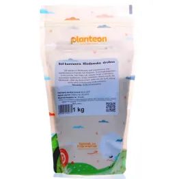 Sól Kamienna Kłodawska Drobna 1 kg - Planteon